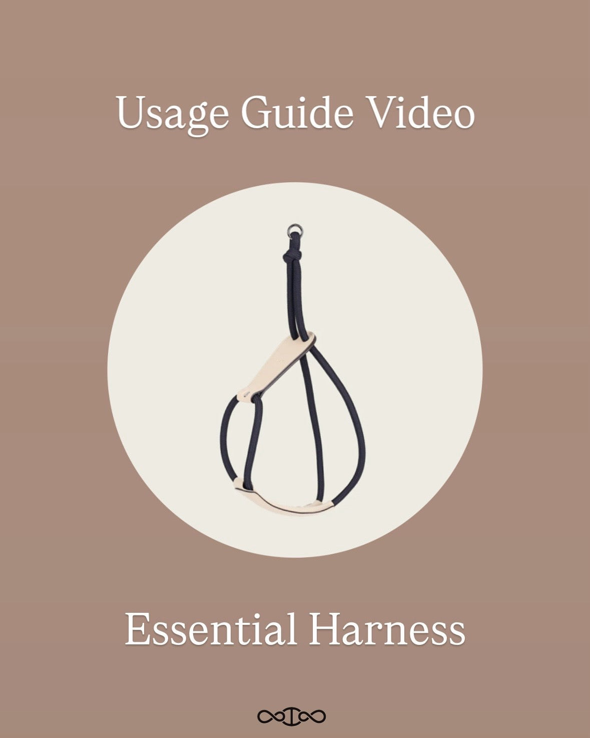 Essential Harness