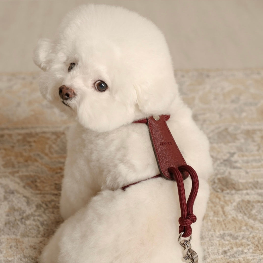 Essential Harness_BURGUNDY