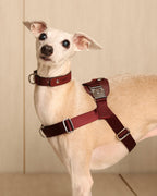 [NEW] Bridle Harness BLCAK