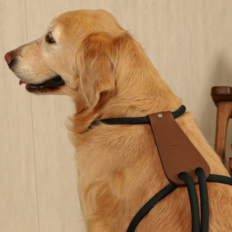 Essential Harness_DEEP GREEN