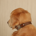 Saddle Strap_MOCHA