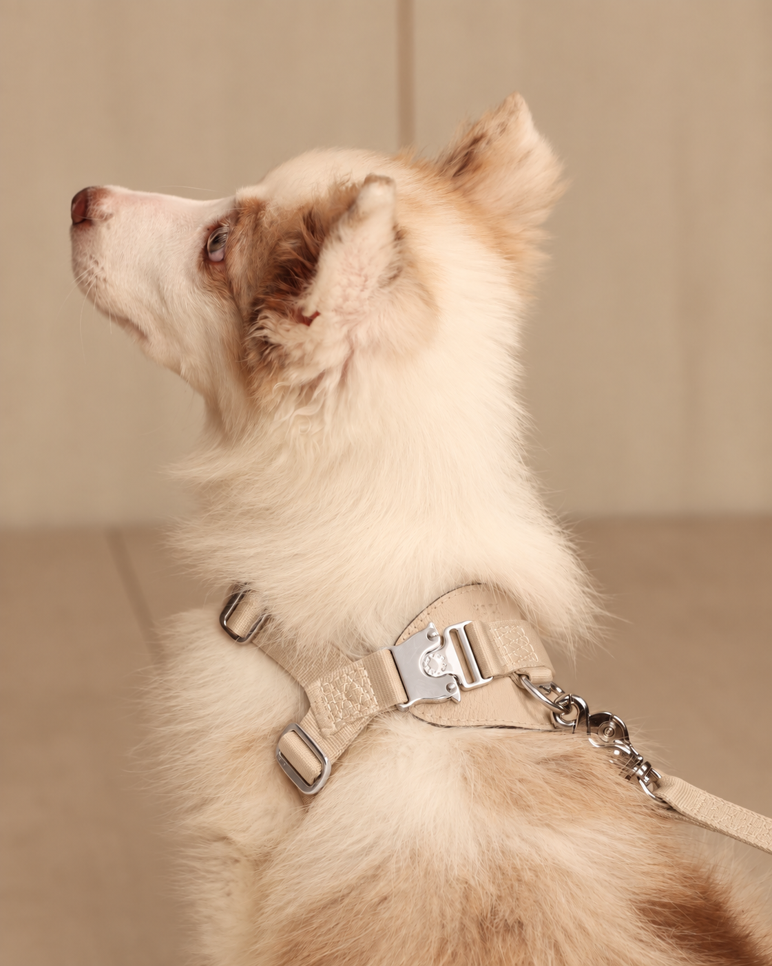 [NEW] Bridle Harness BEIGE
