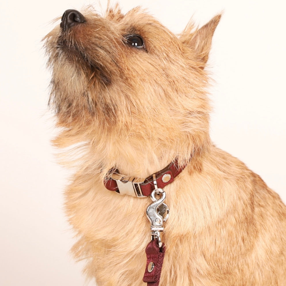 Saddle Strap_BURGUNDY