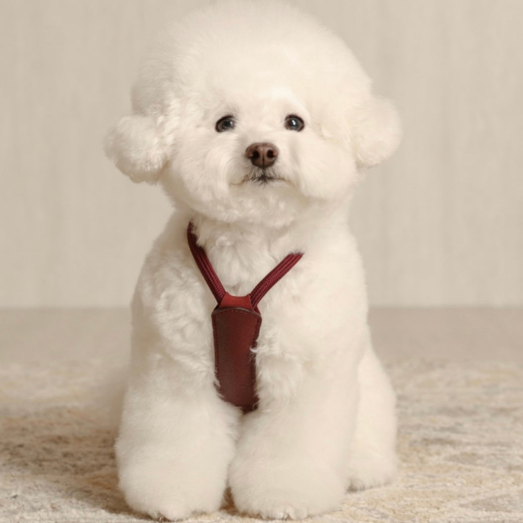 Essential Harness_BURGUNDY
