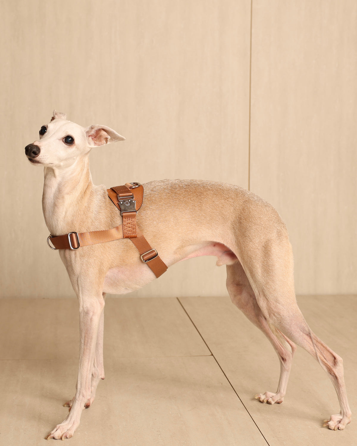 [NEW] Bridle Harness CAMEL