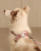 [NEW] Bridle Harness PINK