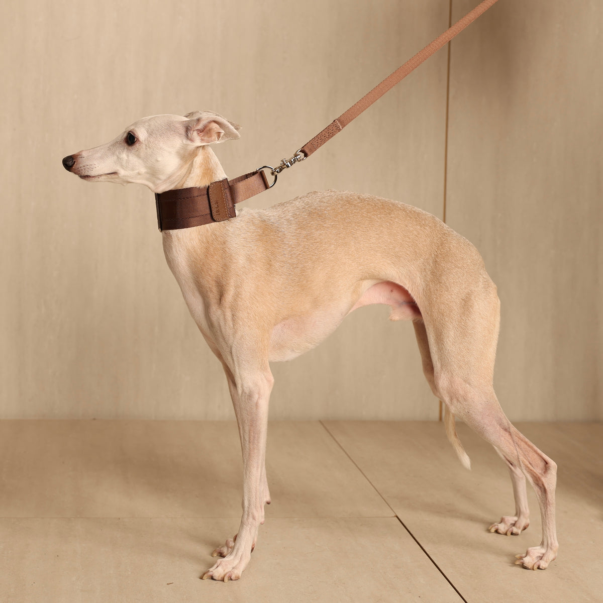 Wide Martingale_MOCHA