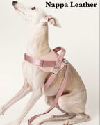 Saddle Harness PINK