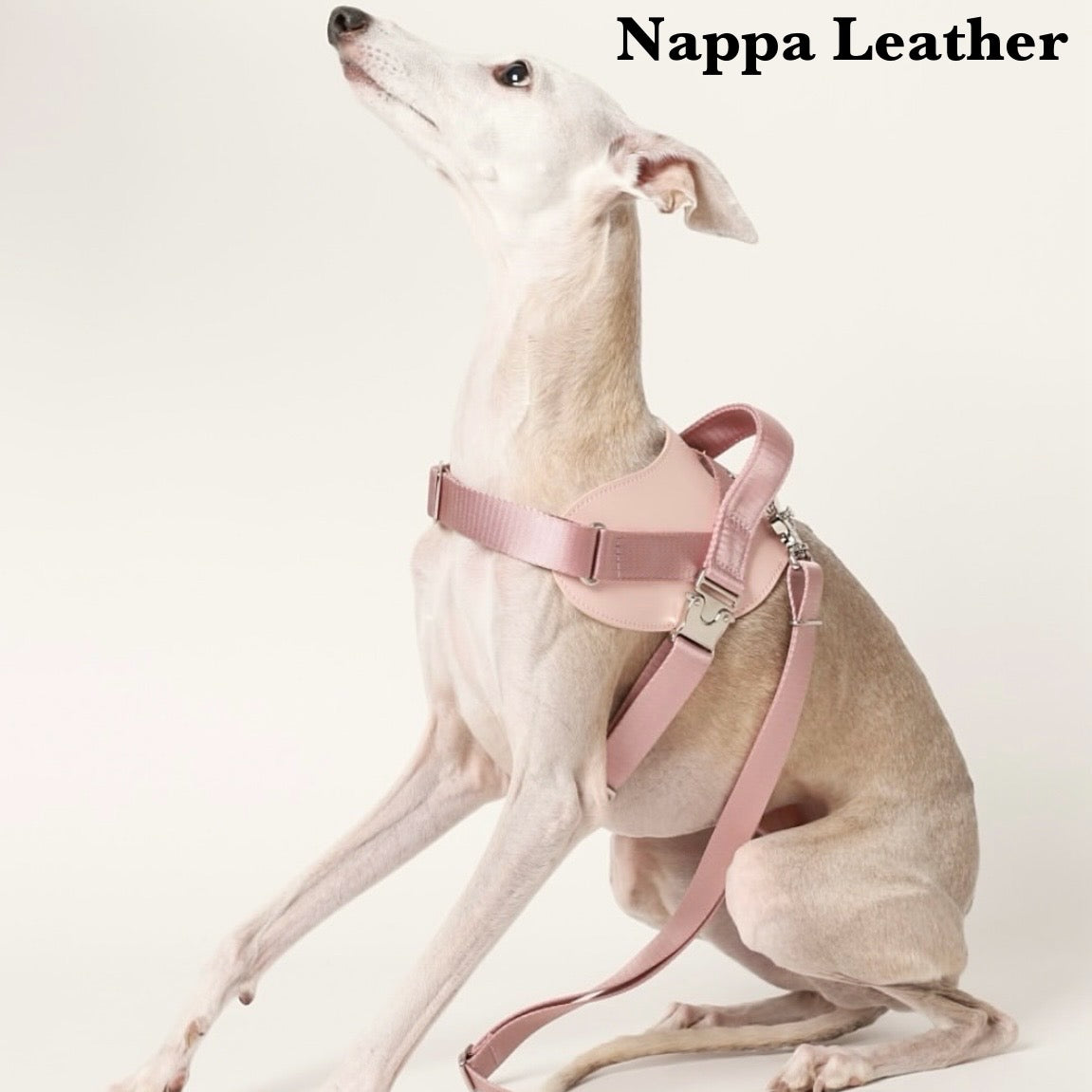 Saddle Harness_PINK