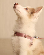 [NEW] Bridle Harness PINK