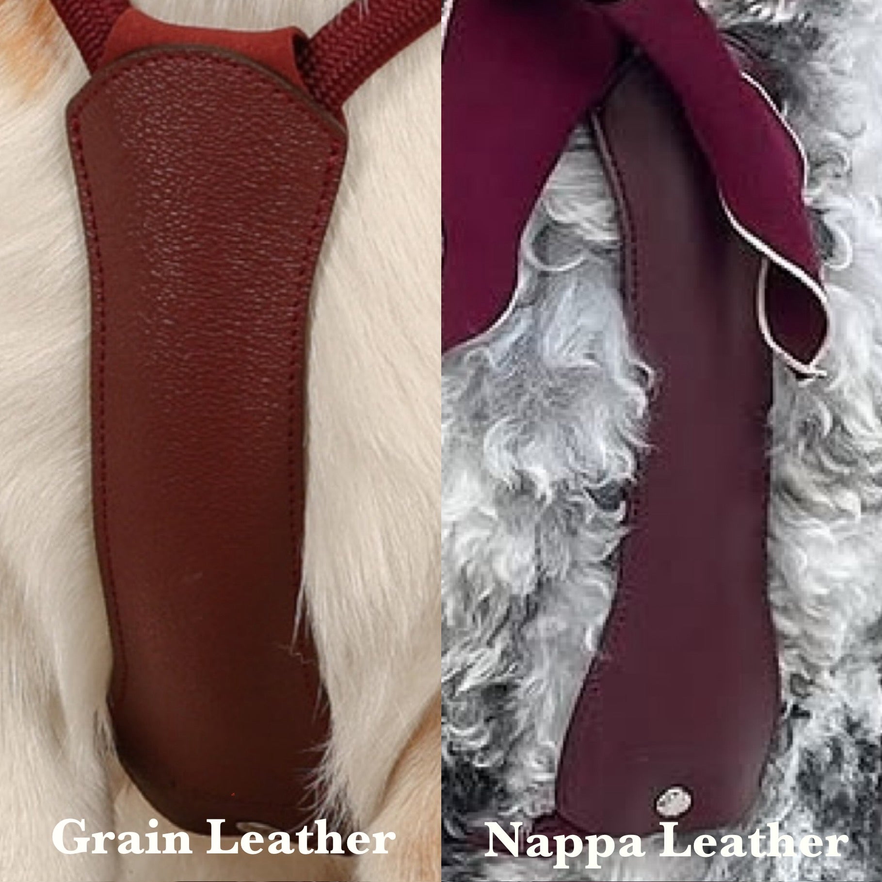 Essential Harness_BURGUNDY