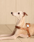 [NEW] Bridle Harness CAMEL
