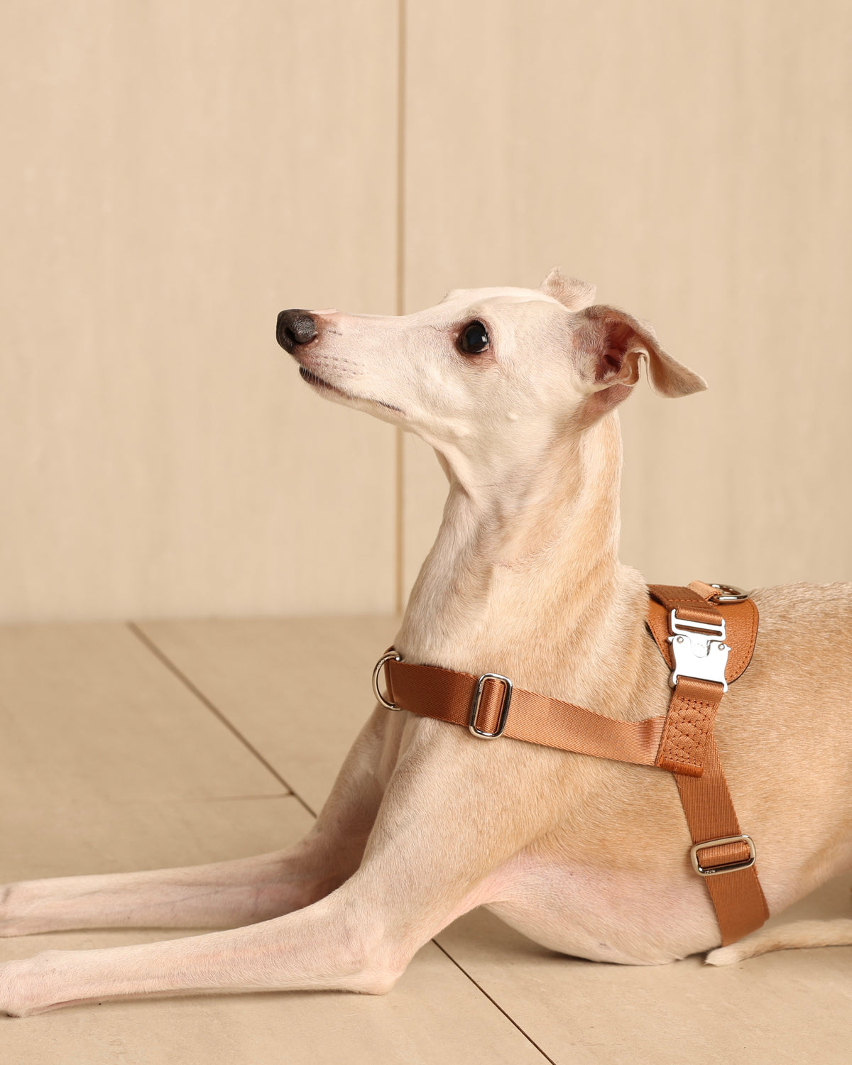 [NEW] Bridle Harness CAMEL