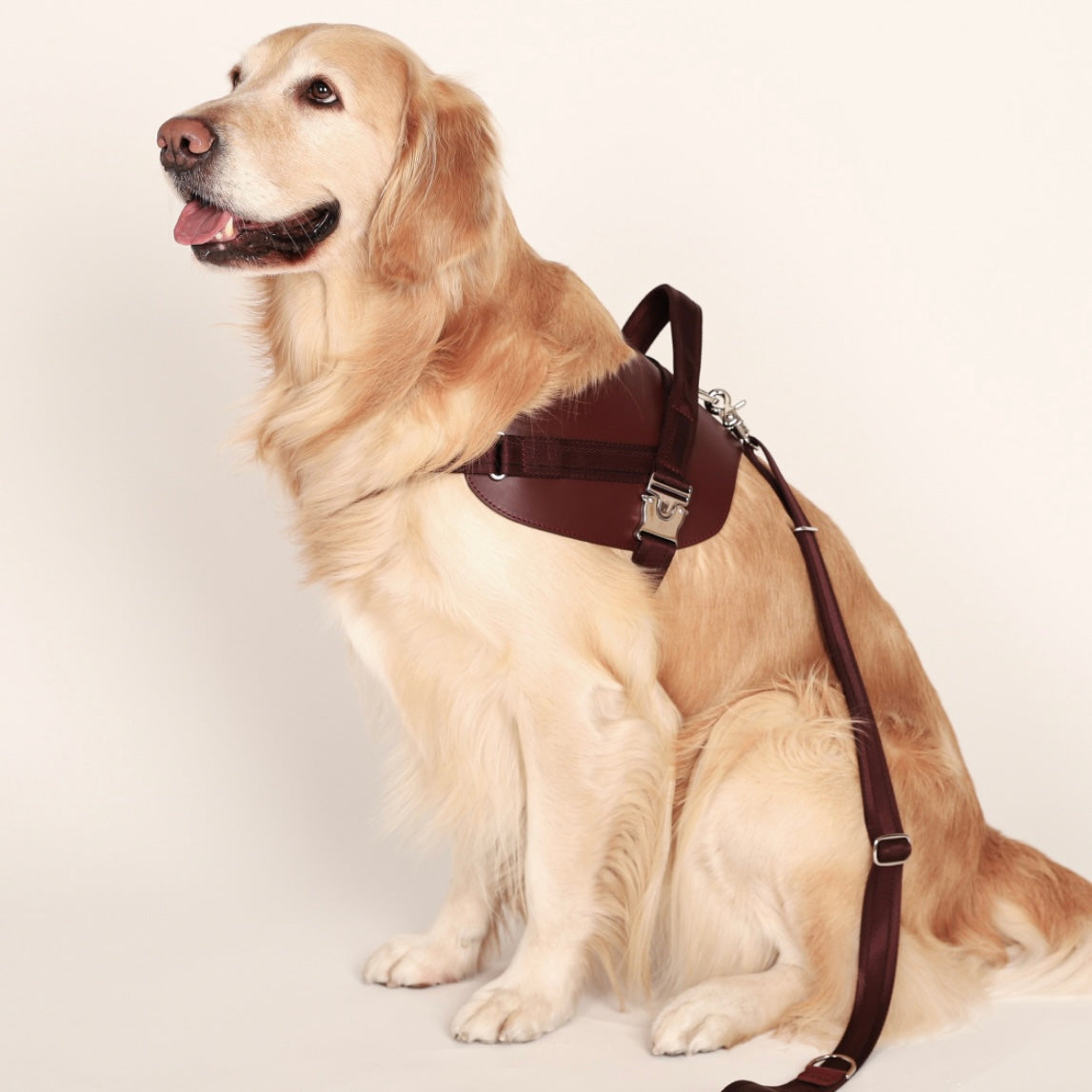 Saddle Harness_BURGUNDY