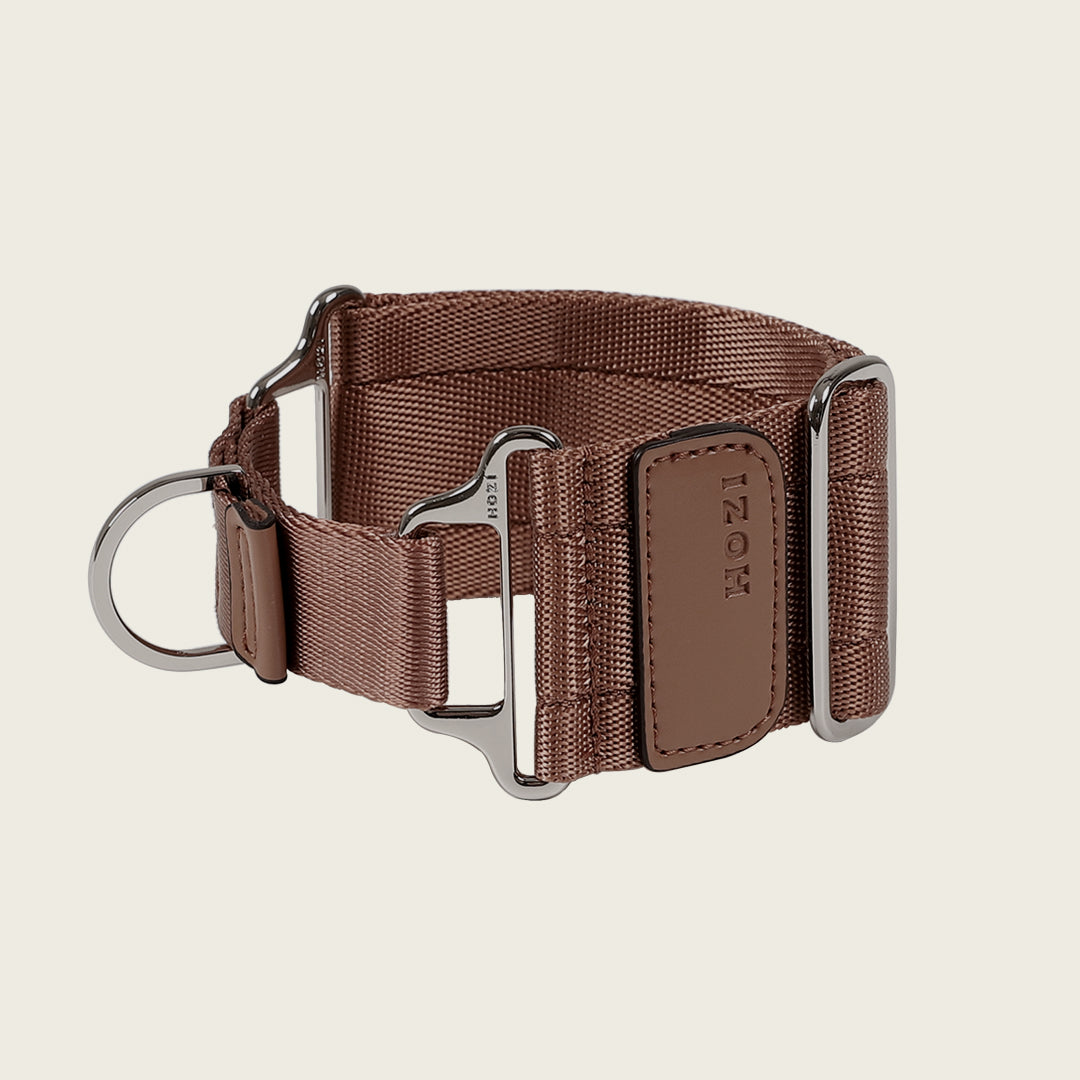 Wide Martingale_MOCHA