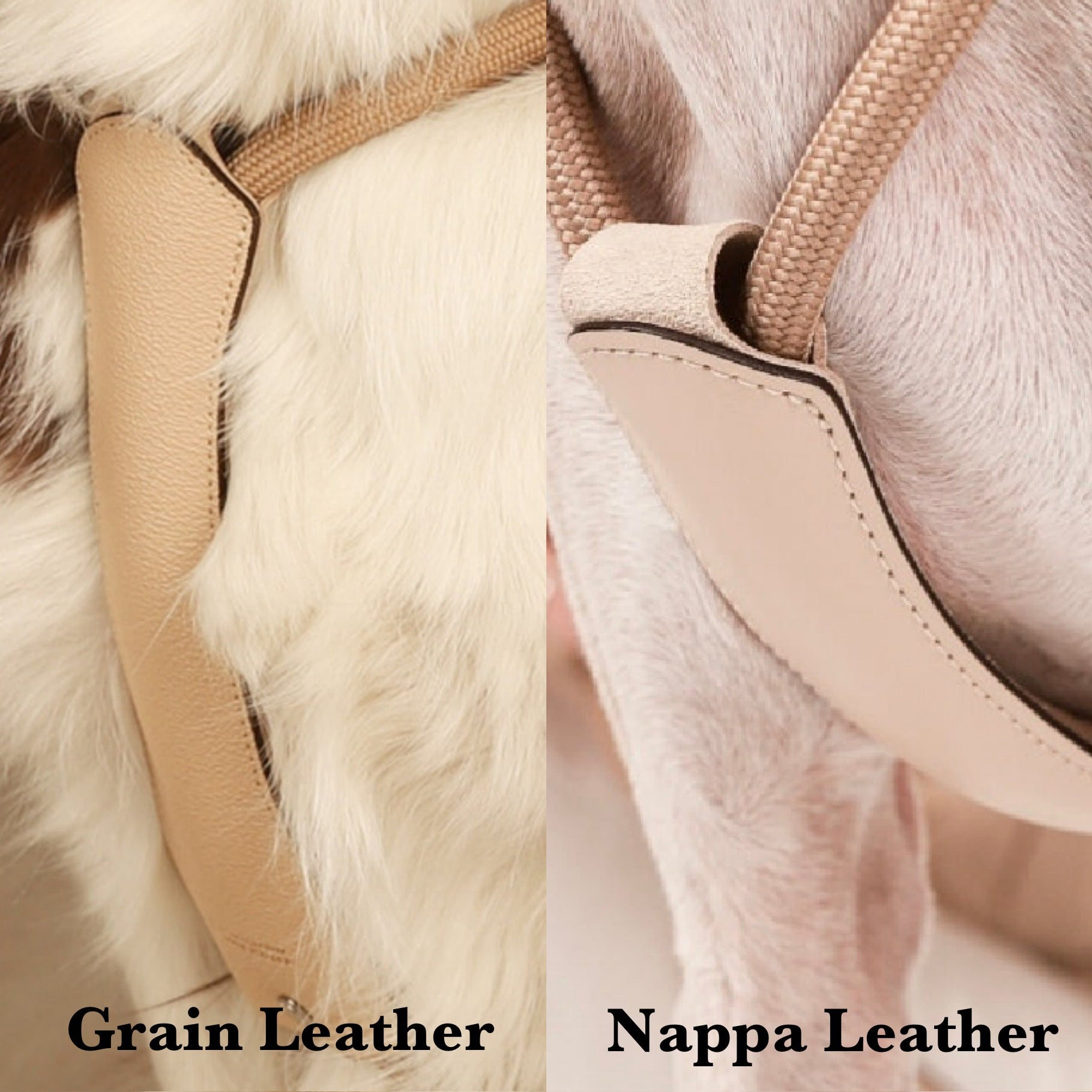 Essential Harness_BEIGE