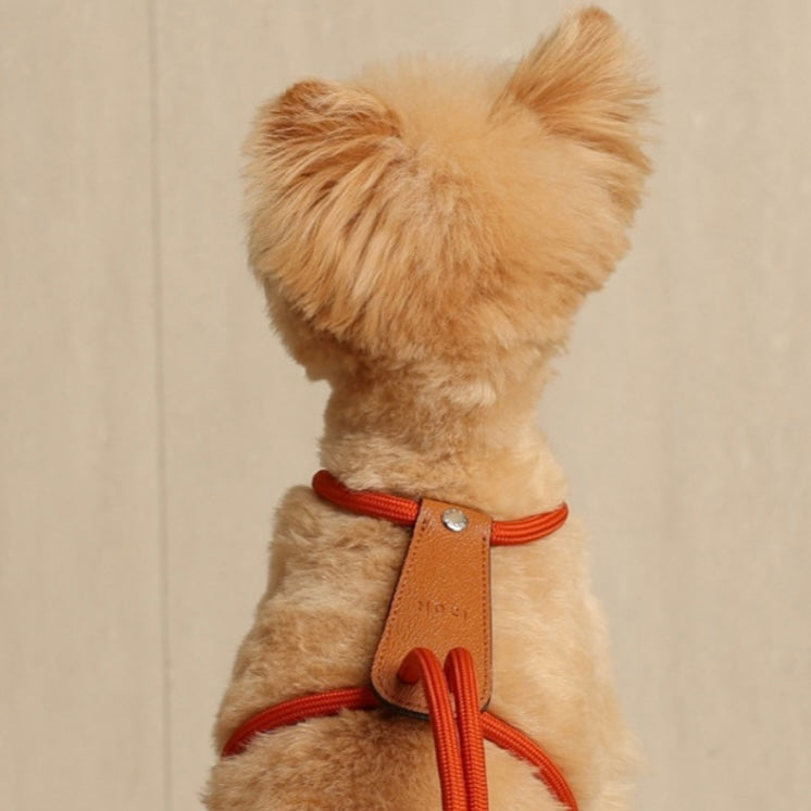 Essential Harness_ORANGE