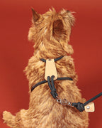 Essential Harness NAVY