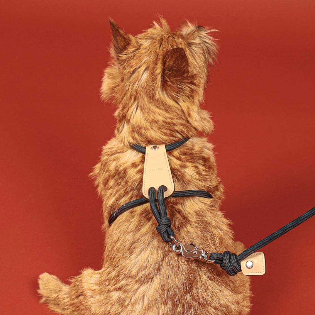 Essential Harness_NAVY