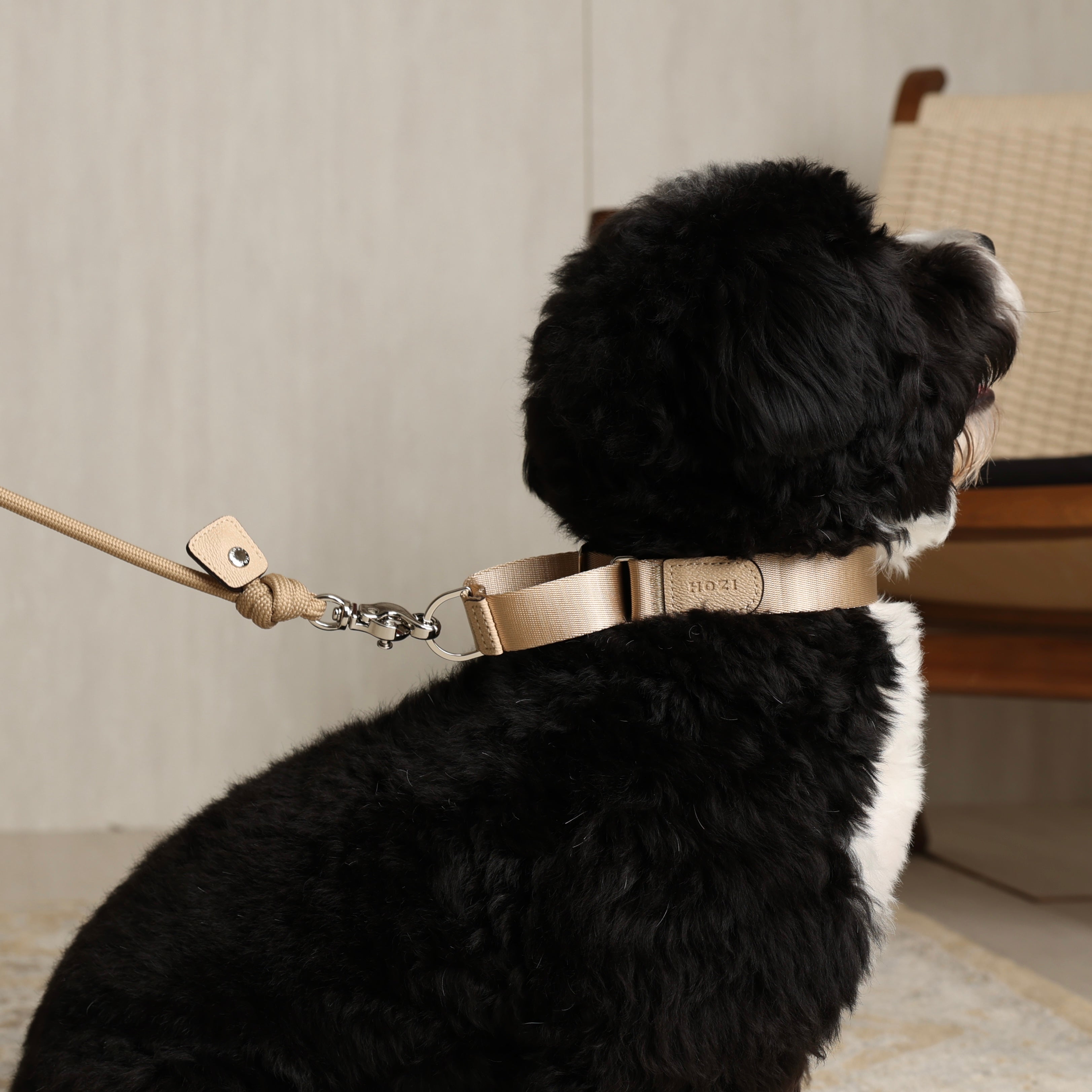 Martingale_BEIGE