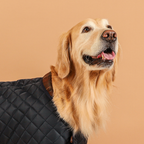 Quilted Jacket NAVY