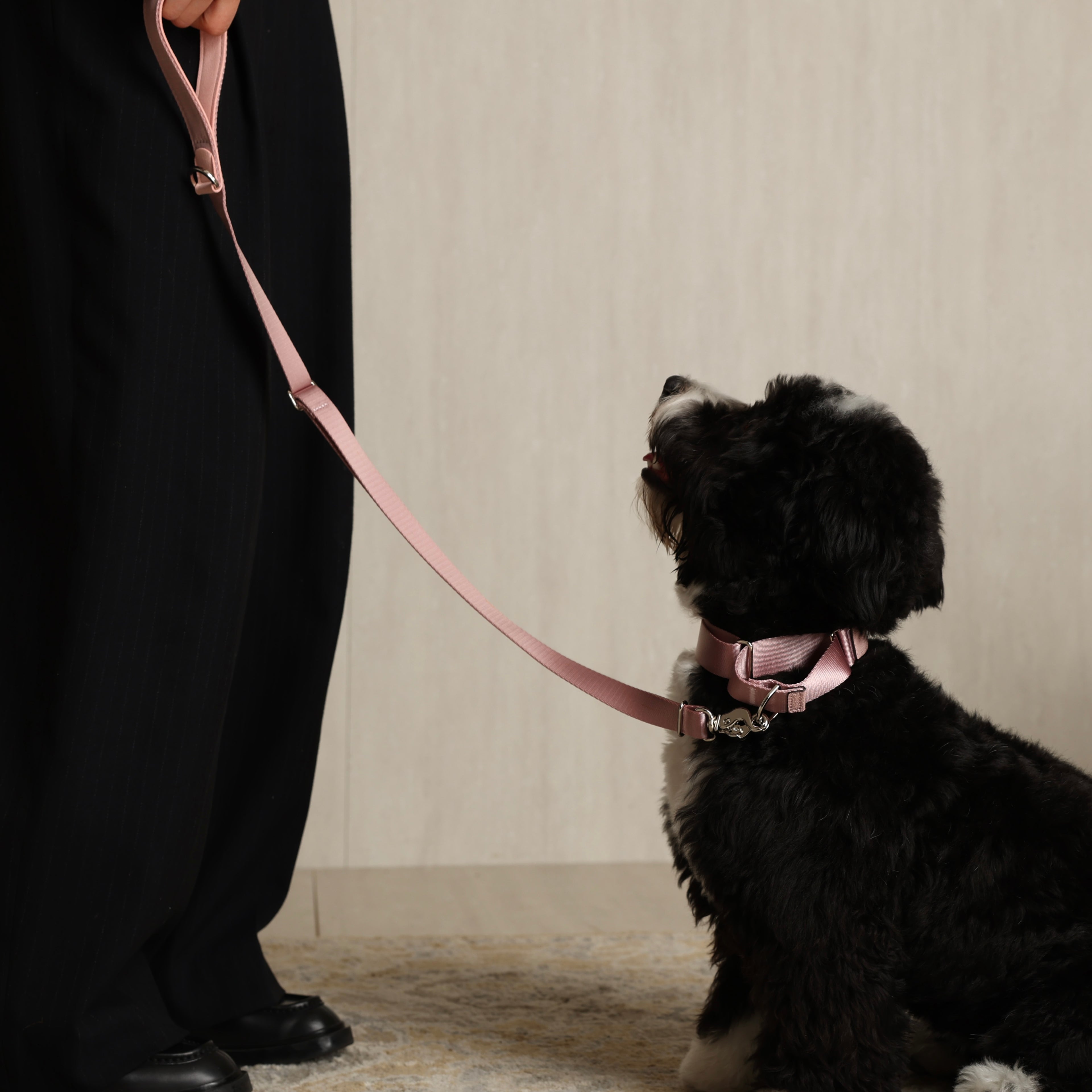 Martingale_PINK