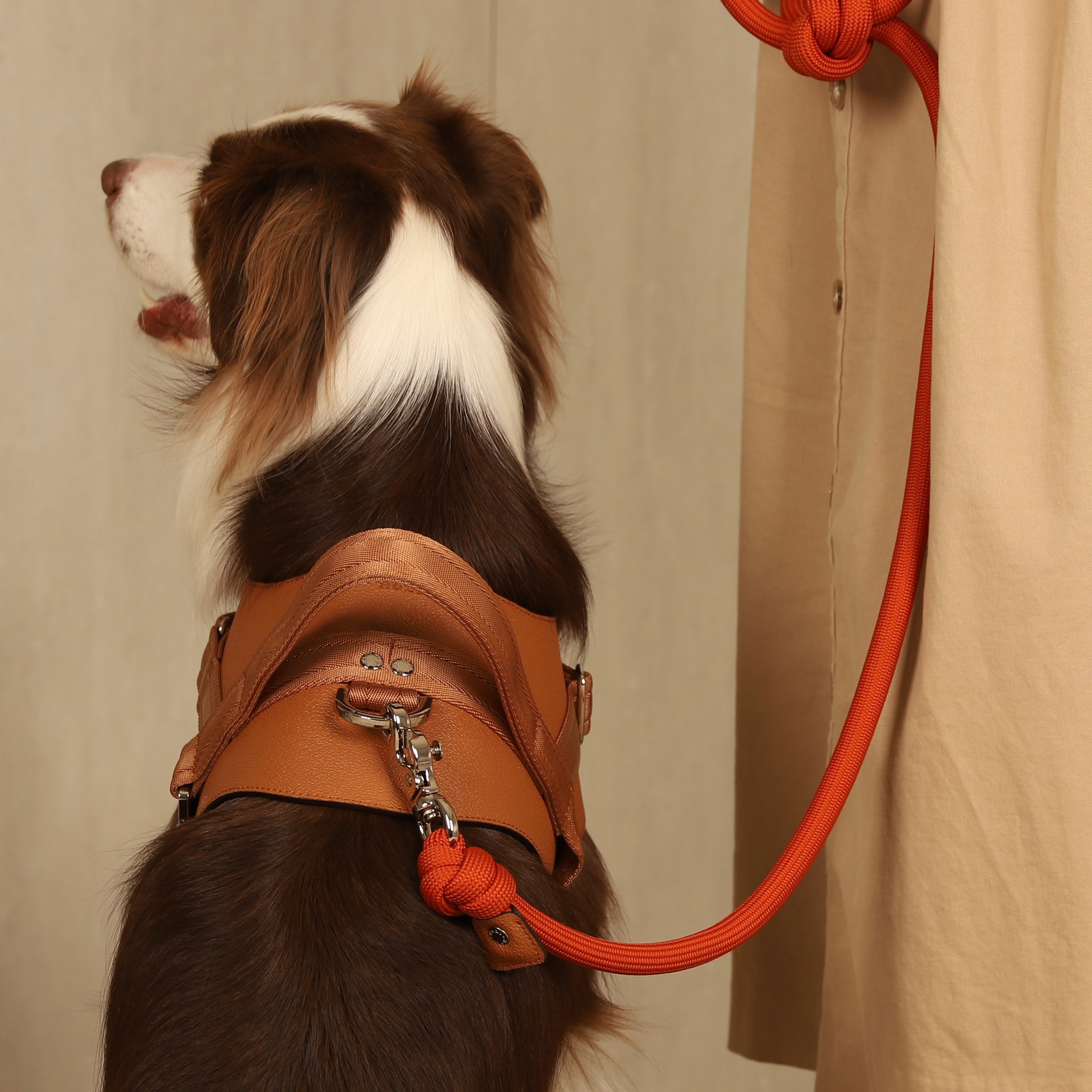 Saddle Harness_CAMEL