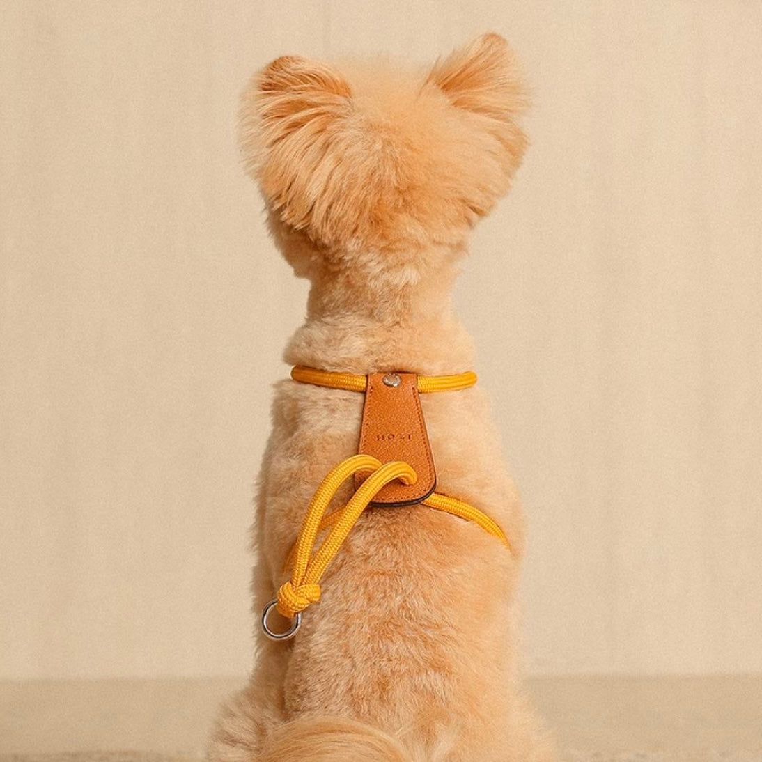 Essential Harness_MUSTARD
