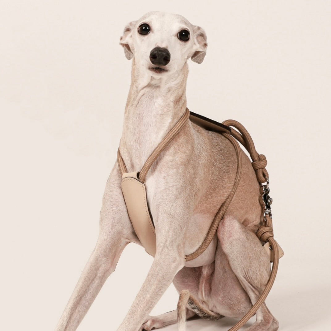 Essential Harness_BEIGE