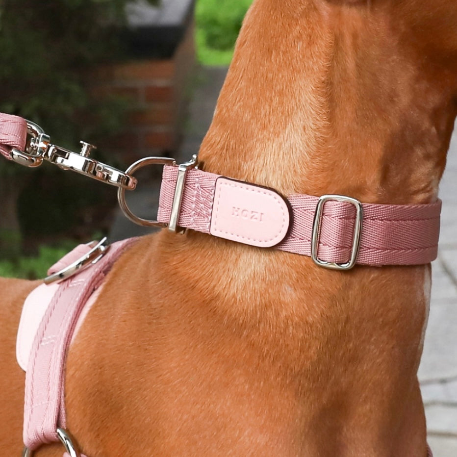 Buckle Strap_PINK