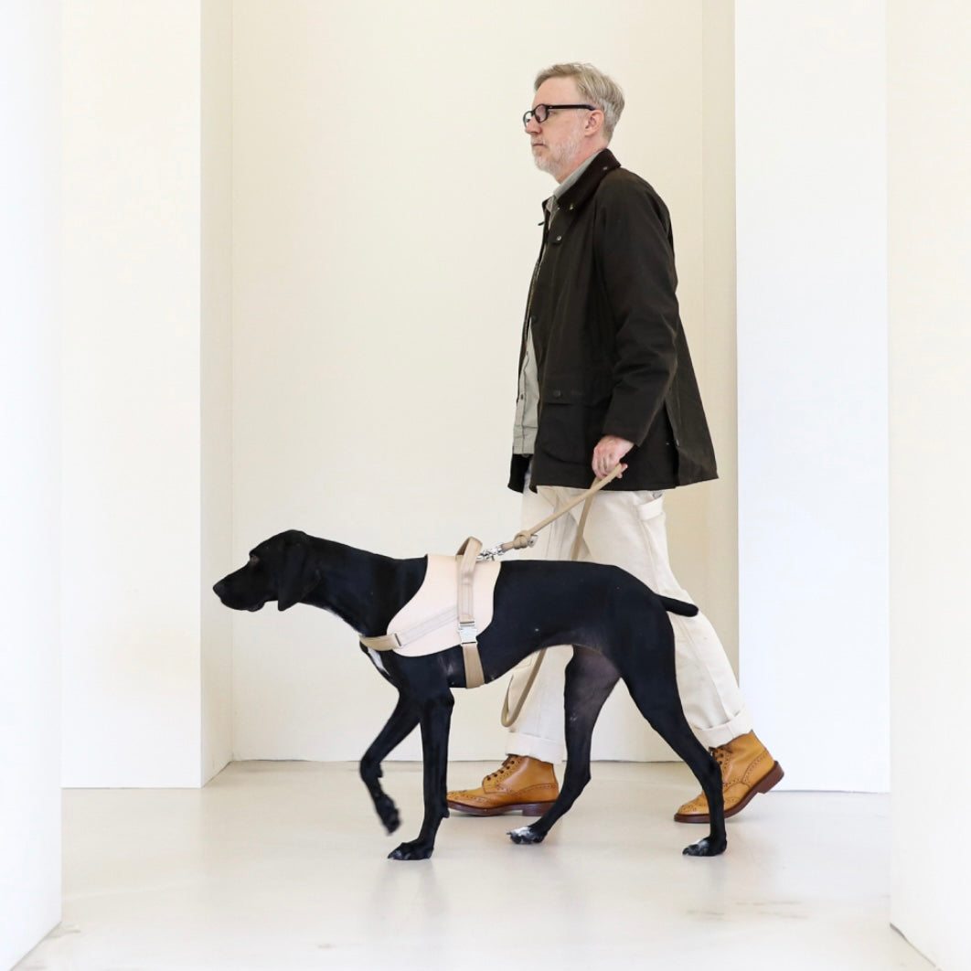 Saddle Harness_BEIGE