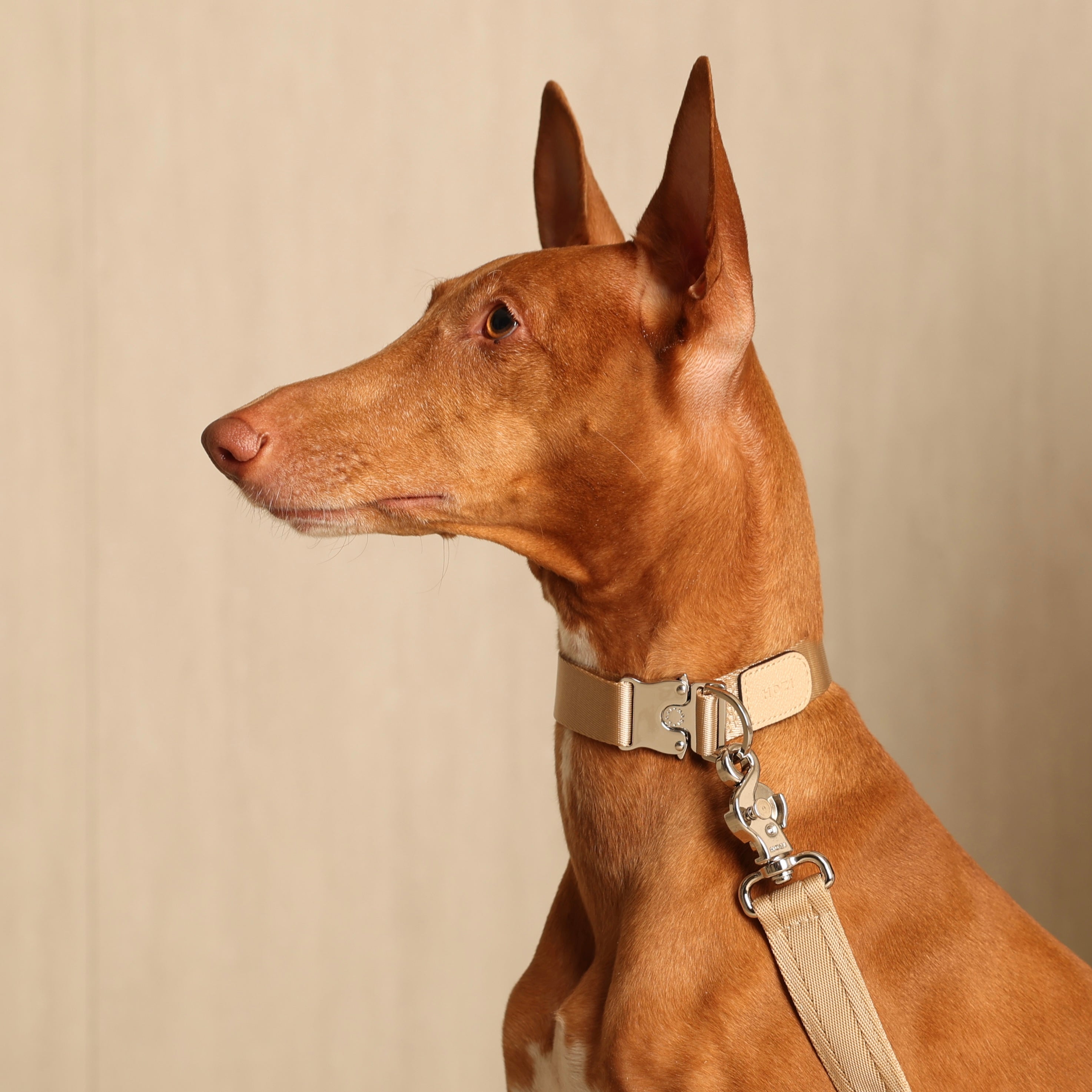 Buckle Strap_BEIGE