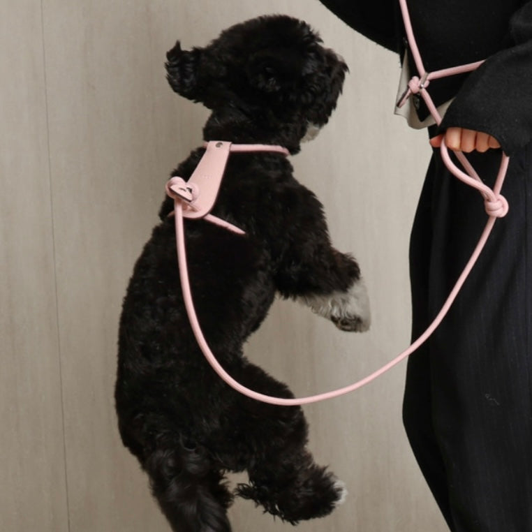 Essential Harness_PINK