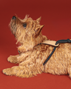 Essential Harness NAVY