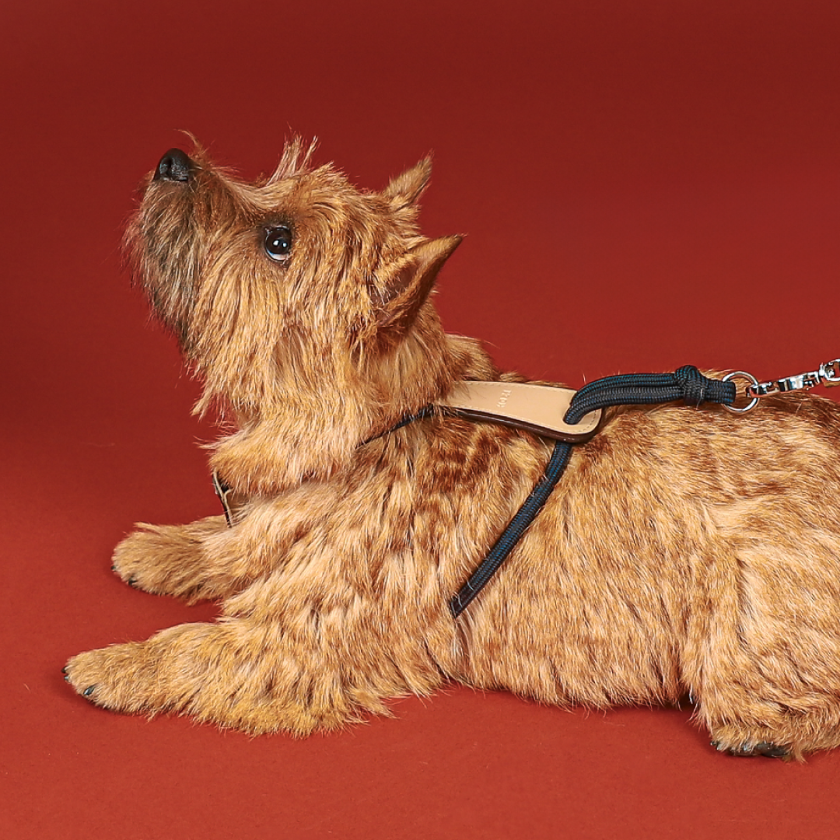 Essential Harness_NAVY