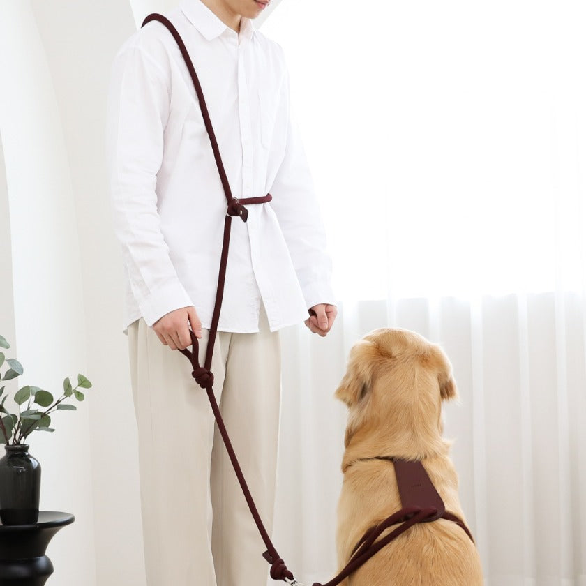 Essential Hands-Free Lead_BURGUNDY