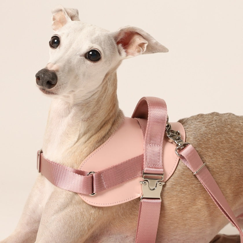 Saddle Harness_PINK