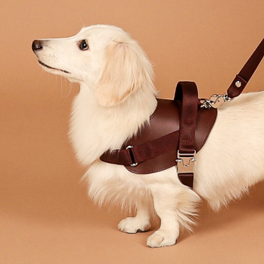 Saddle Harness_BURGUNDY