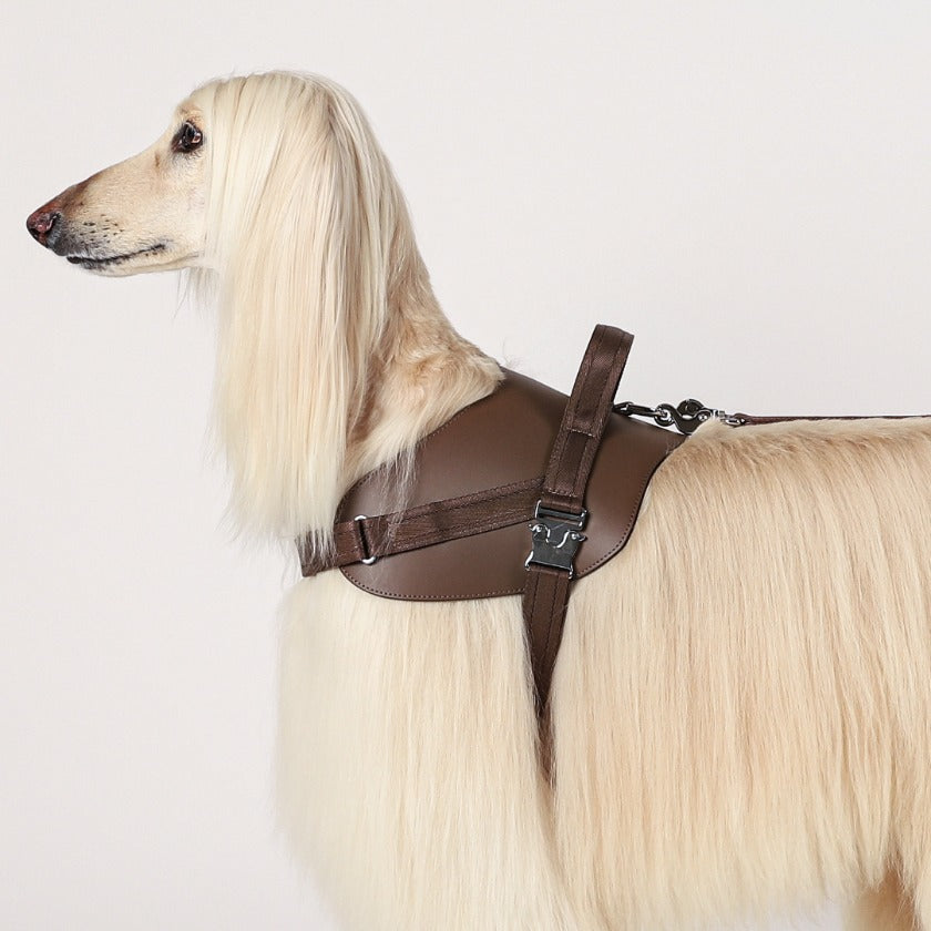 Saddle Harness_MOCHA