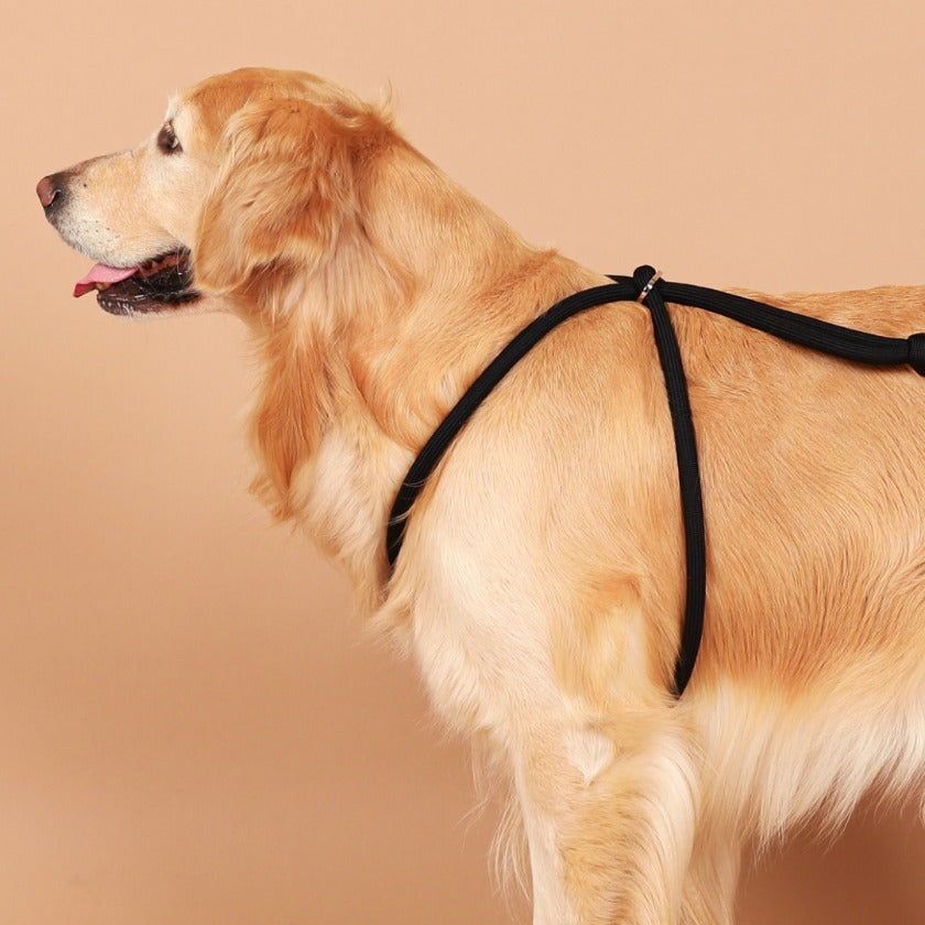 All-In-One Harness_BLACK