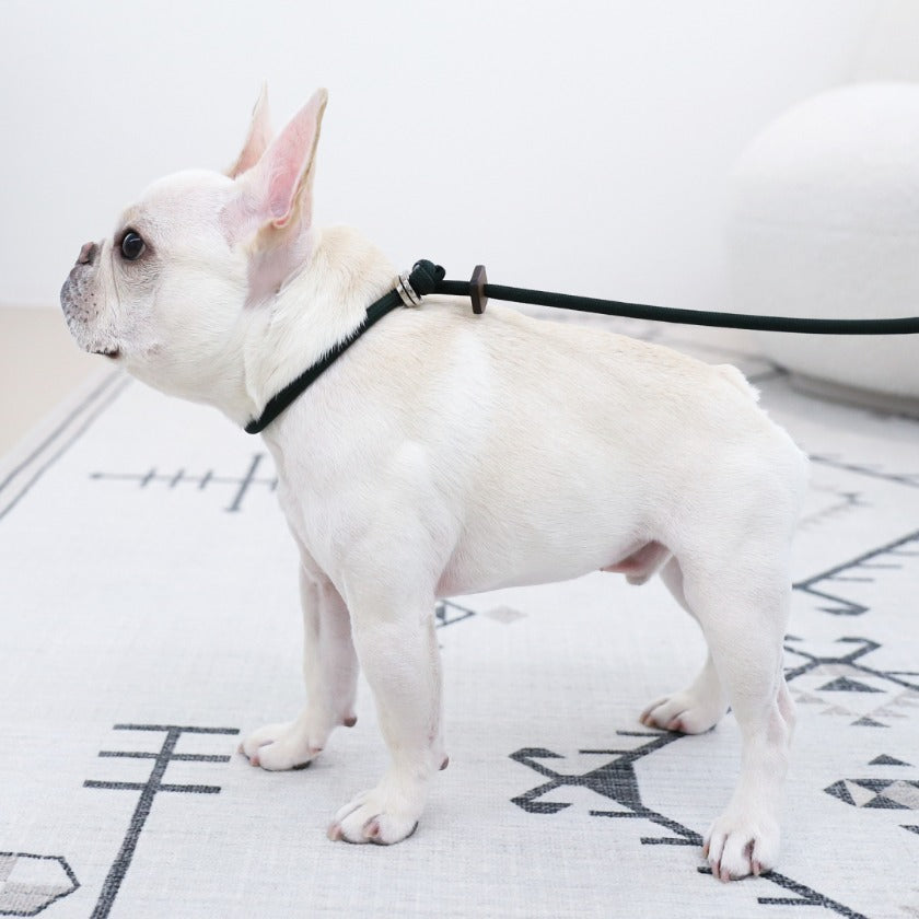 Slip Lead_DEEP GREEN