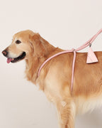 All-In-One Harness PINK