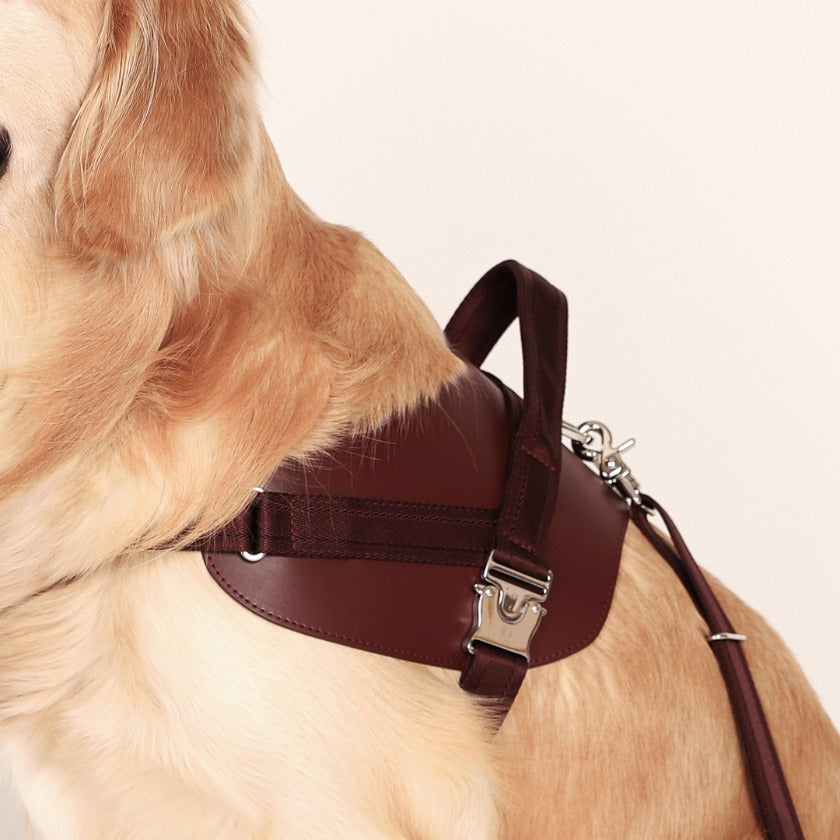 Saddle Hands-Free Lead_BURGUNDY L