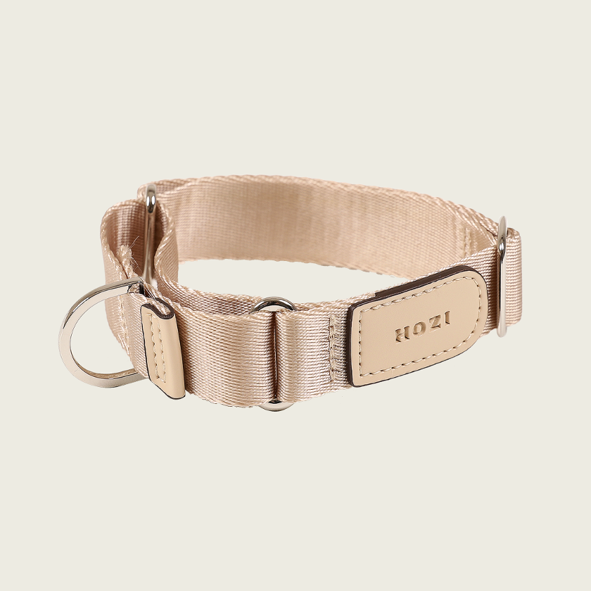 Martingale_BEIGE