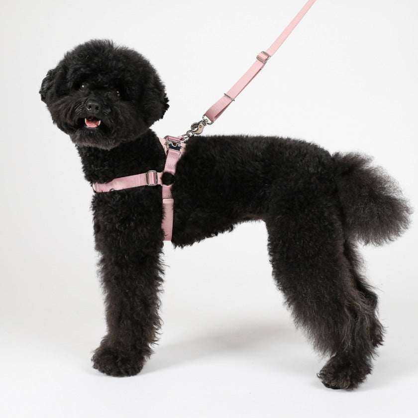 Horsebit Harness_PINK