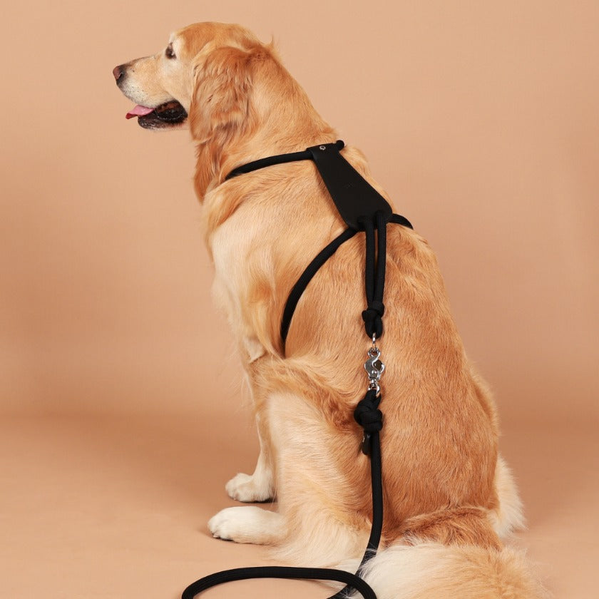 Essential Hands-Free Lead_BLACK