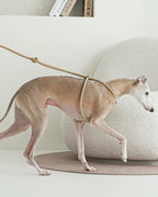 All-In-One Harness BEIGE