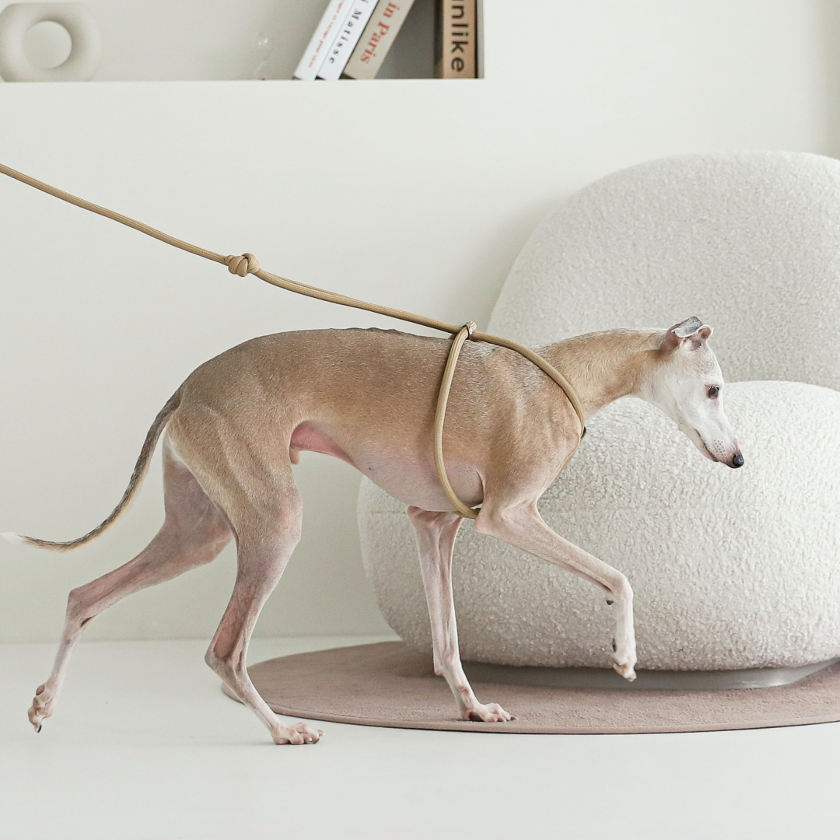 All-In-One Harness_BEIGE