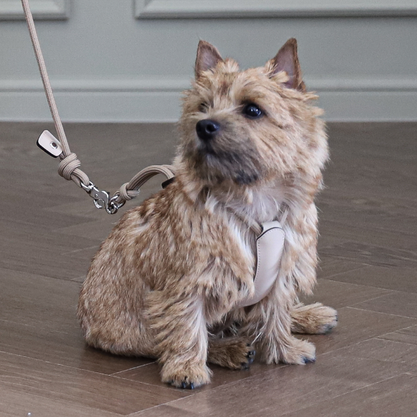 Essential Harness_BEIGE