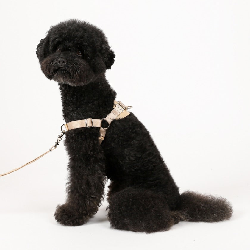 Horsebit Harness_BEIGE